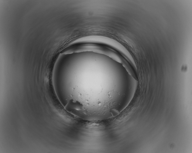 X0000095900315200801111215