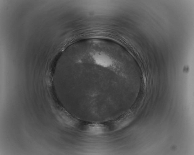 X0000095900316200801111215