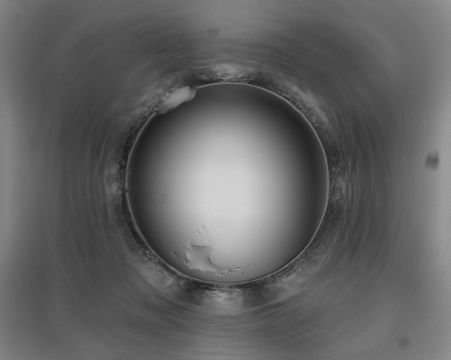 X0000095900317200801111215