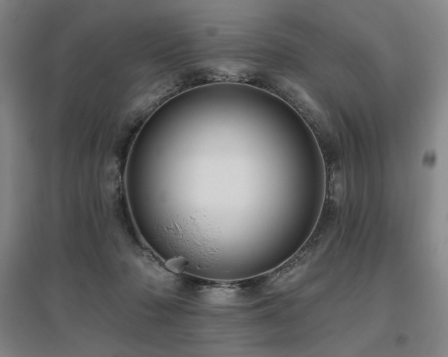 X0000095900318200801111215