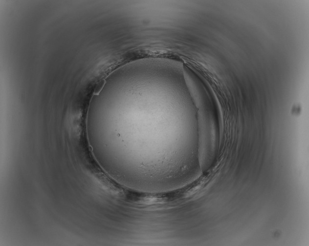 X0000095900319200801111215