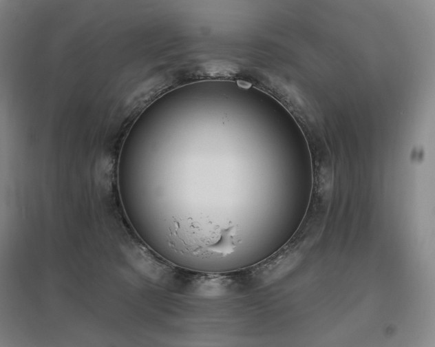 X0000095900321200801111215