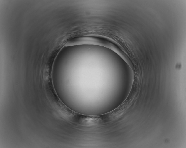 X0000095900323200801111215