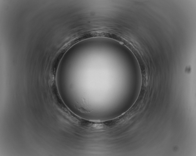 X0000095900324200801111215