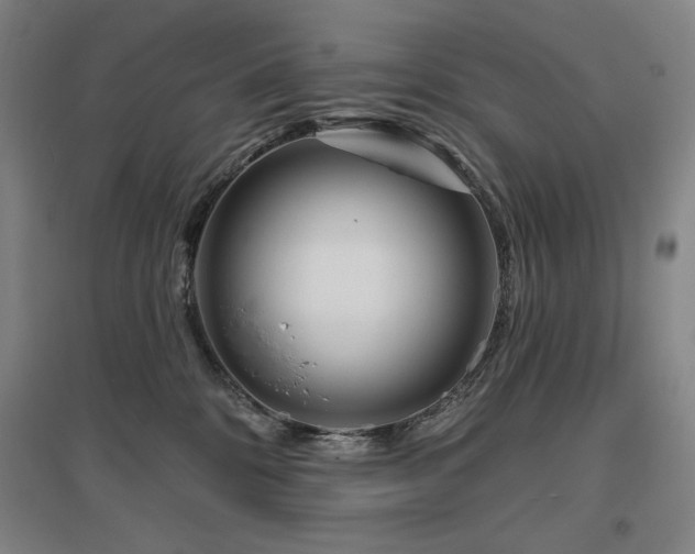 X0000095900328200801111215
