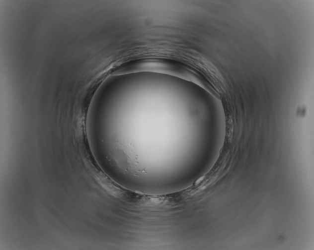 X0000095900329200801111215