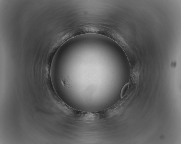 X0000095900330200801111215