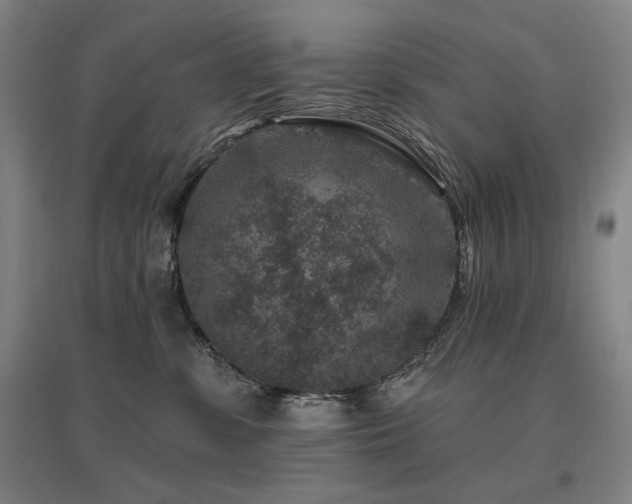 X0000095900331200801111215