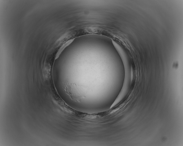 X0000095900332200801111215
