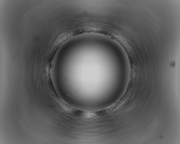 X0000095900333200801111215