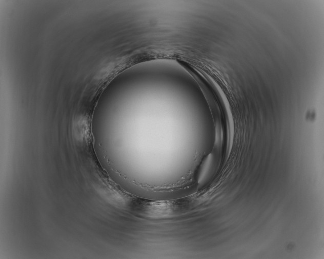 X0000095900335200801111215