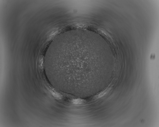X0000095900336200801111215