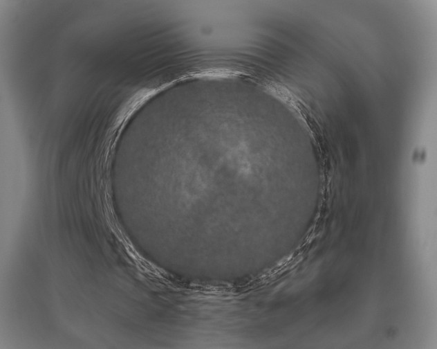 X0000095900337200801111215