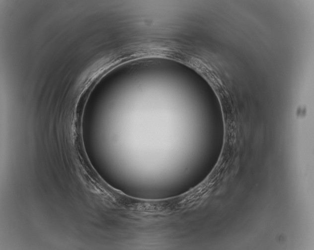 X0000095900338200801111215