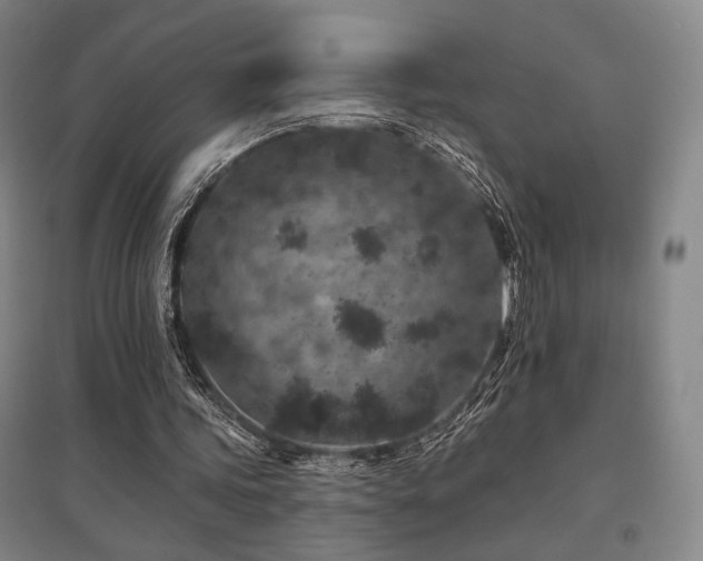 X0000095900339200801111215