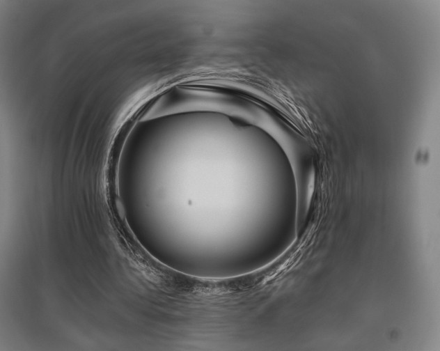 X0000095900340200801111215