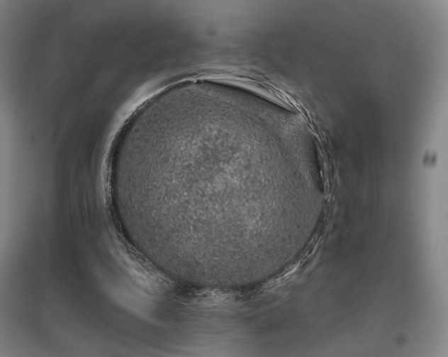 X0000095900343200801111215