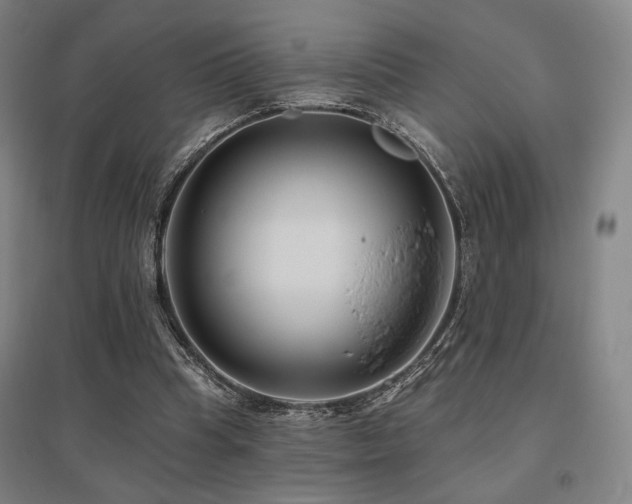 X0000095900345200801111215