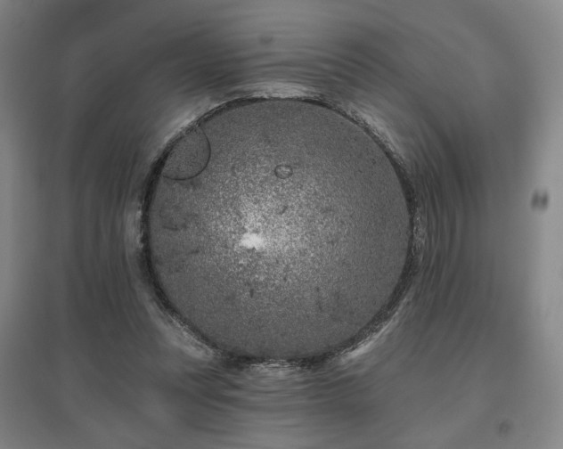 X0000095900351200801111215