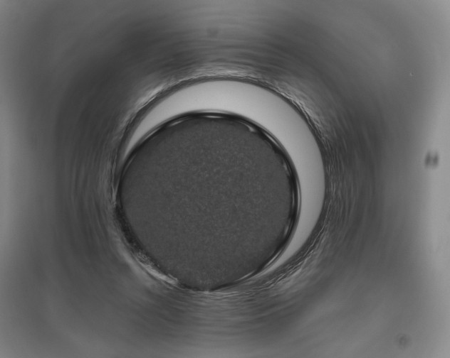 X0000095900352200801111215