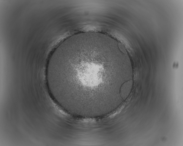 X0000095900353200801111215