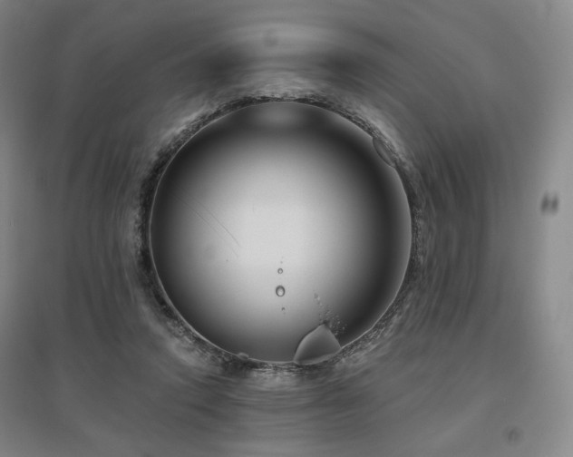 X0000095900354200801111215