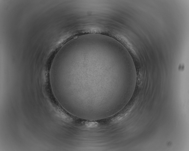 X0000095900355200801111215