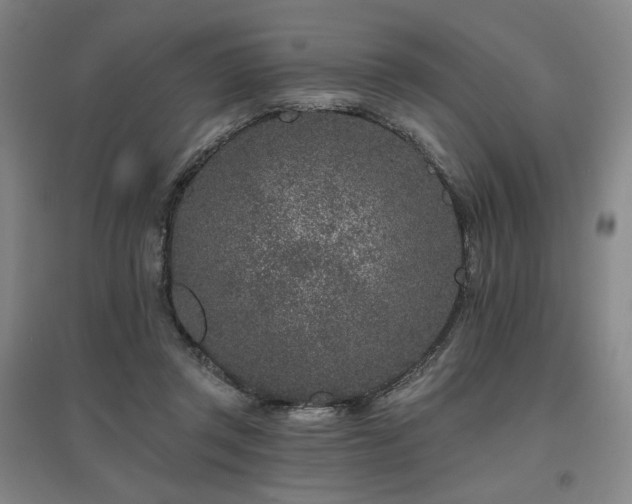 X0000095900357200801111215
