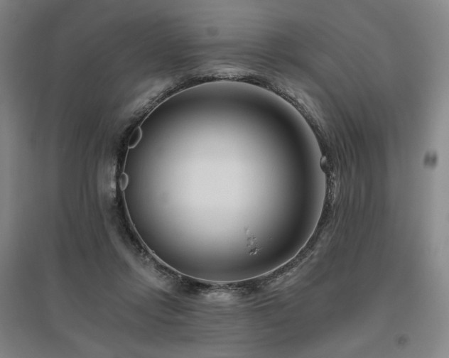 X0000095900358200801111215