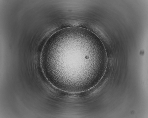 X0000095900359200801111215