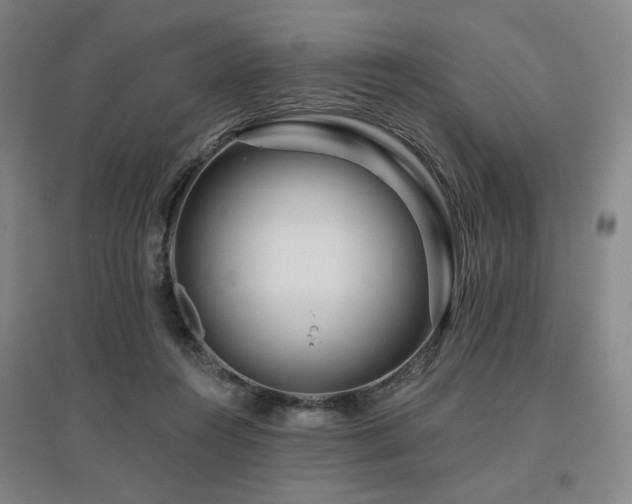 X0000095900360200801111215