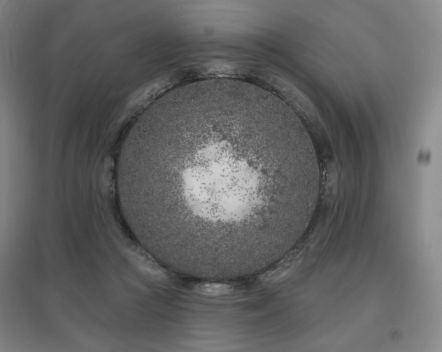 X0000095900361200801111215