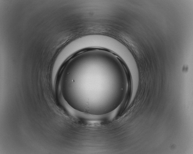 X0000095900362200801111215