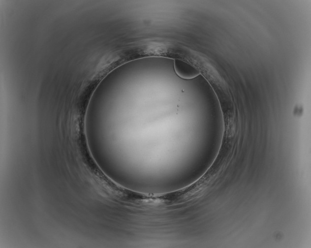 X0000095900363200801111215