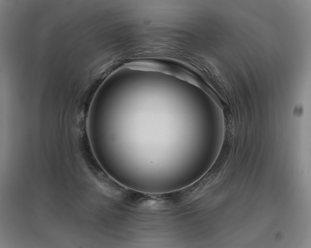 X0000095900364200801111215