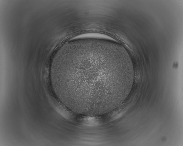 X0000095900365200801111215