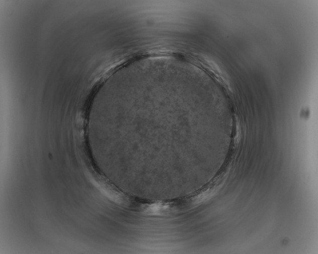 X0000095900366200801111215
