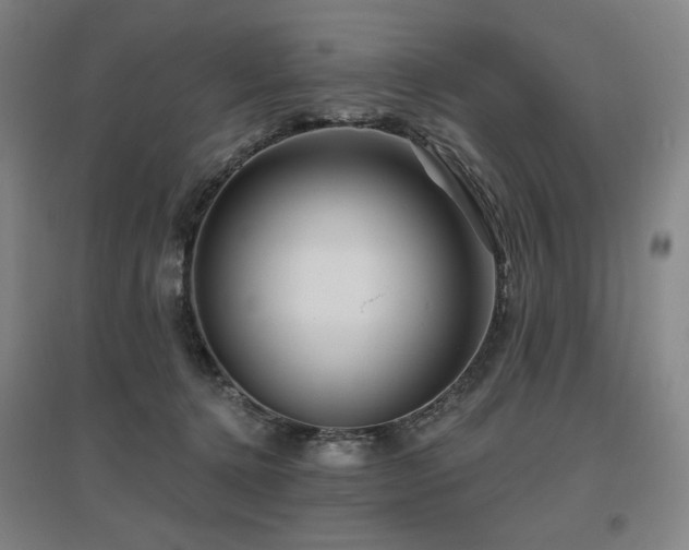 X0000095900368200801111215