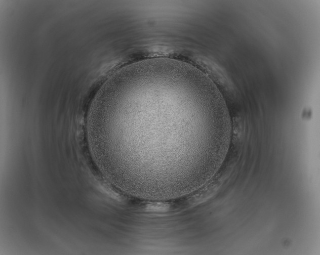 X0000095900369200801111215