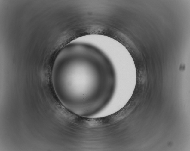 X0000095900370200801111215
