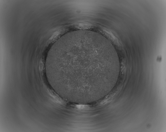 X0000095900371200801111215