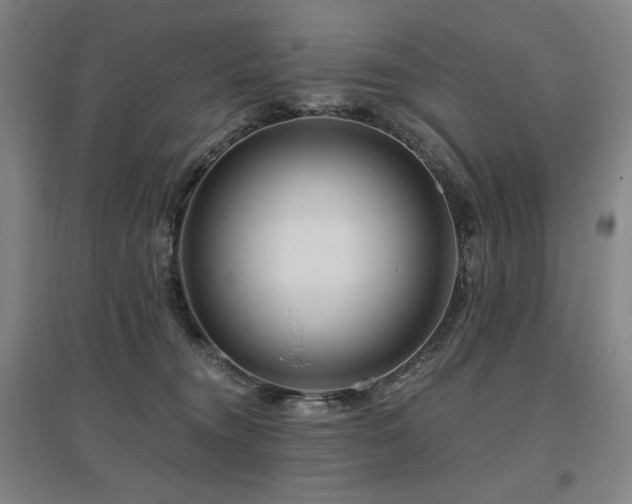 X0000095900372200801111215