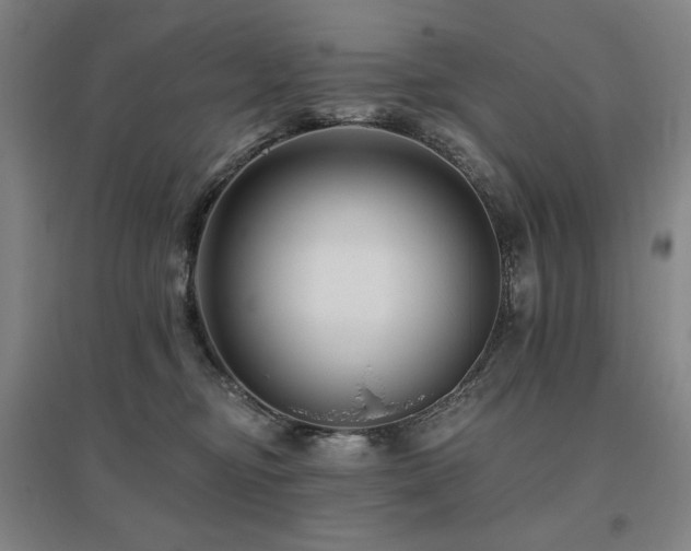 X0000095900374200801111215