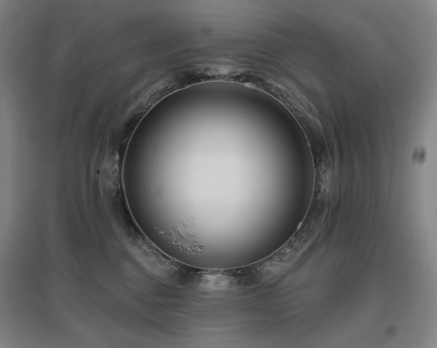 X0000095900376200801111215