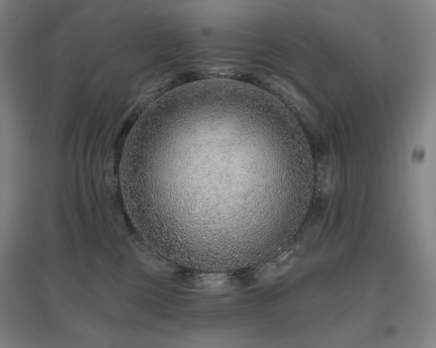 X0000095900377200801111215