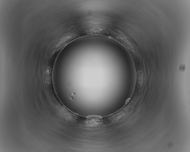 X0000095900378200801111215