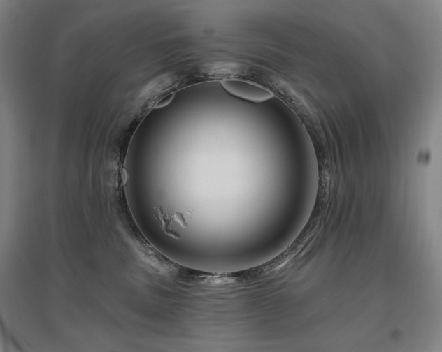 X0000095900379200801111215