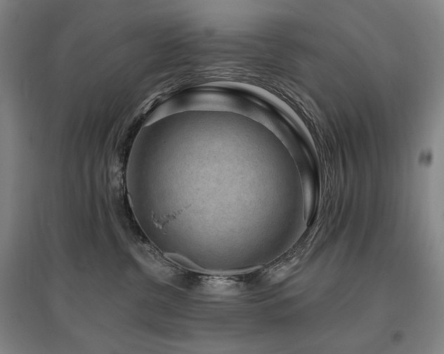 X0000095900380200801111215