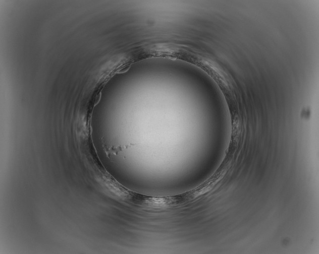 X0000095900381200801111215