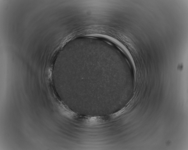 X0000095900382200801111215